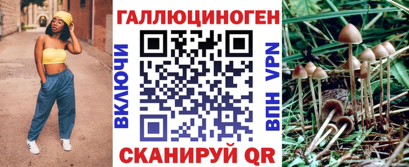 Псилоцибиновые грибы прущие грибы  Купить закладки  Черноголовка 